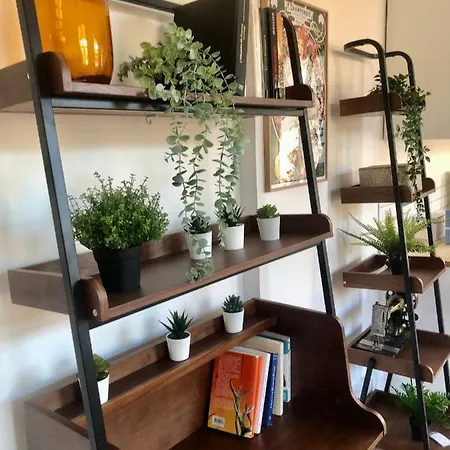 Loft Avec Jardin Privatif Lille